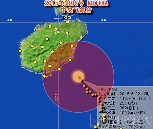 八号台风鲸鱼走向动态分析，应对策略及最新消息